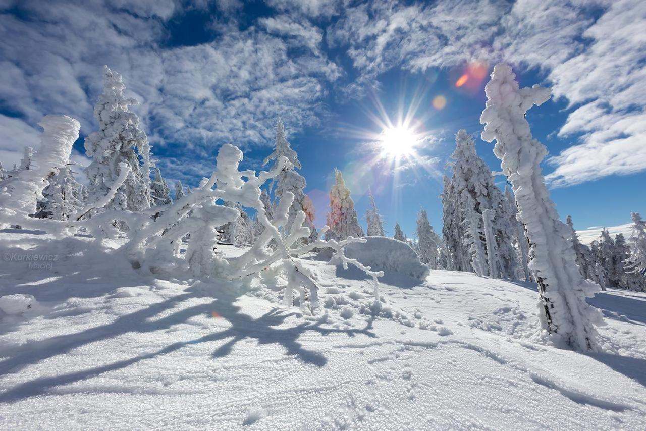 Domek 4Seasons Karpacz Z Prywatna Sauna I Kominkiem Dış mekan fotoğraf
